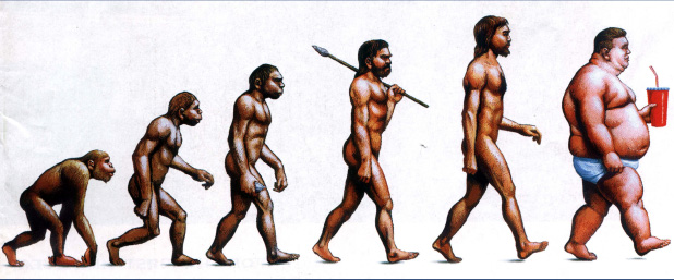 evolucion obesidad