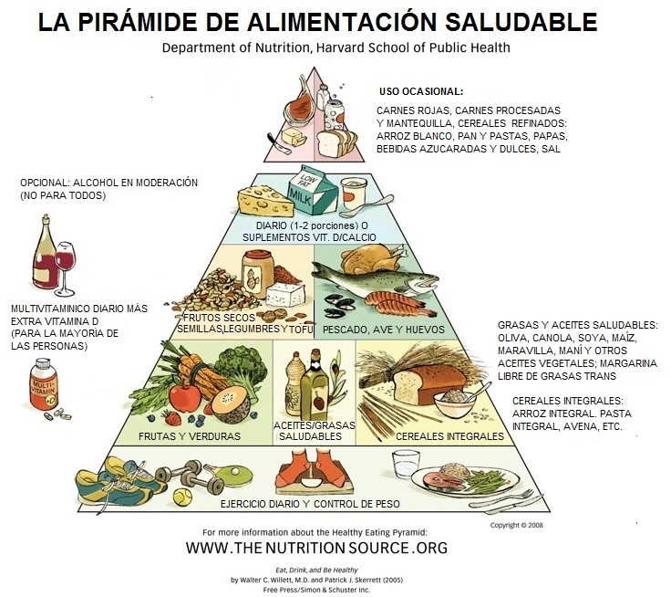 piramide alimentacion saludable harvard traducida