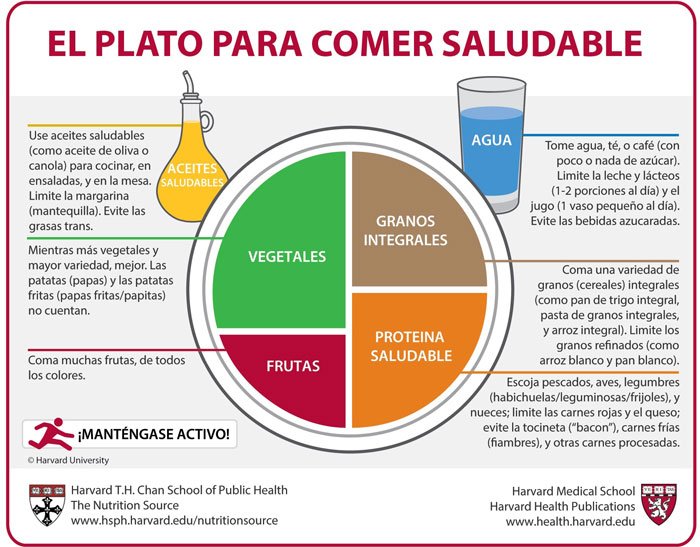 plato saludable harvard ES