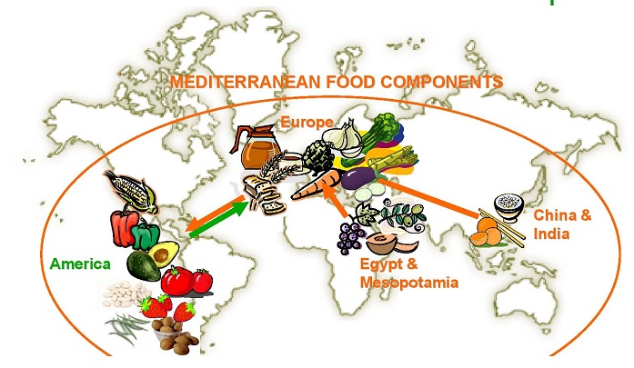 Resultado de imagen de origen dieta mediterranea