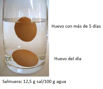 prueba flotabilidad huevos
