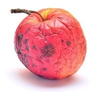 manzana deshidratada