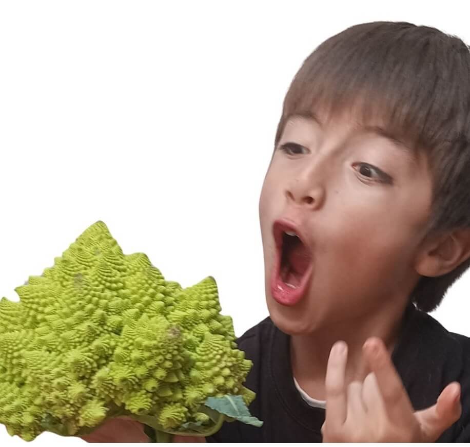 nino sorprendido coliflor
