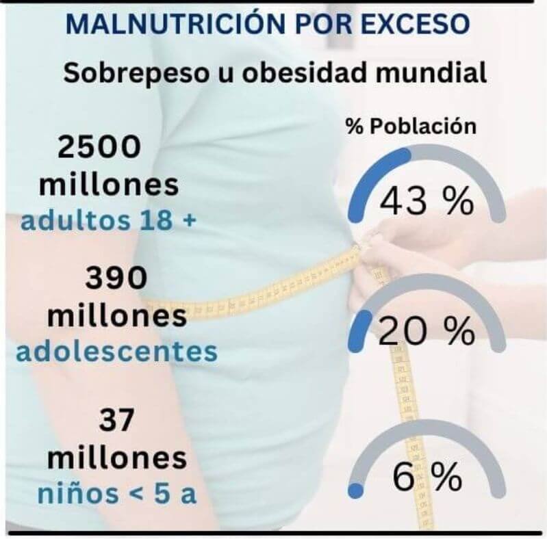 malnutricion exceso